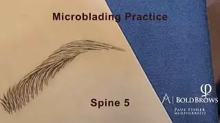 Microblading PhiBrows BoldBrows Spine5