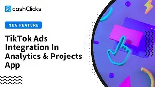 TikTok Ads Integration In Analytics & Projects App
