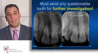 Dr Mehdi Rahimi - Trauma Lecture