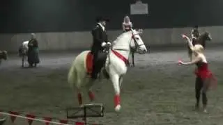 Equites Cantum - Highlights