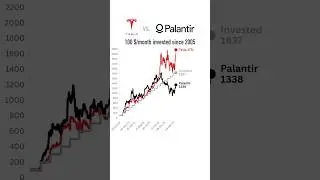 Tesla vs. Palantir: 100 $/month invested since 2020