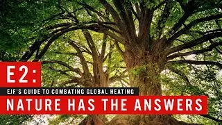 Nature Has The Answers | Episode 2 | A Guide to Combating Global Heating