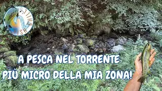 A pesca nel torrente pi&ugrave; MICRO della mia zona!