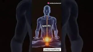 How Your Endocrine System Relates to Chakras! 🌟 | Short Wellness Insight