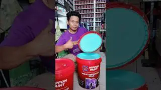 Oplosan cat tembok exterior1601 #shorts #oplosan #cattembok #nipponpaint @MardiantoNipan