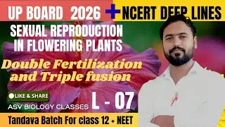 Double Fertilization NCERT Line by Line | UP Board 2026 | NEET 2026 BIOLOGY | ASVBIOLOGYCLASSES 