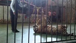 Koh Kong Safari World