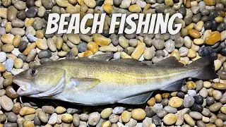 Beach Fishing - Chesil Beach - Cod - 1/4