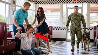 Rich Couple Shoved a Disabled Woman to The Floor—Until a Navy SEAL and His German Shepherd Walked in