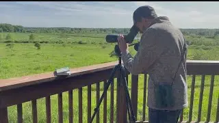 How new technology is impacting bird watching