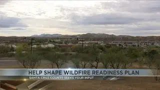 Help shape Santa Cruz County's wildlife readiness plan
