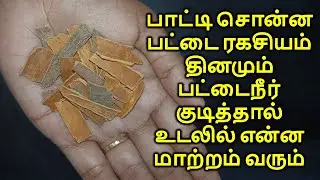 பாட்டி சொன்ன பட்டை ரகசியம் தினமும் பட்டைநீர் குடித்தால் உடலில் என்ன மாற்றம் வரும் Tamil Health Tips
