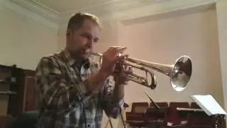 One moment in time. Trumpet cover.