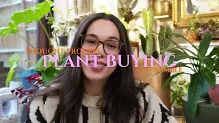 My Rules for Bringing Plants Into My Collection | Smart Plant Buying Guide