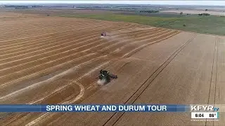 Wheat Quality Council holds annual spring wheat and durum tour with good outlooks