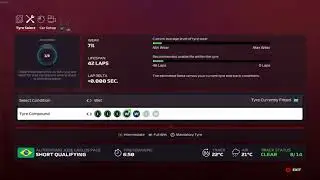 F1 2020 YRL (Realistic Car Performance) Brazilian Grand Prix, Full Wet Conditions - Quali and Race