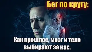 Бег по кругу: Как прошлое, мозг и тело выбирают за нас. Путеводитель к настоящему
