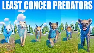 Least Concern Predators Speed Race in Planet Zoo included Lynx,  Cougar,  Caracal,  Arctic Wolf, Fox