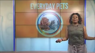 Vet Set Go camp helps aspiring veterinarians