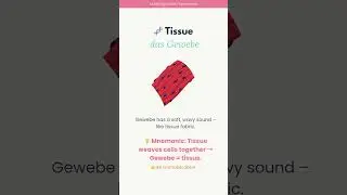 tissue | das Gewebe 📖✨Learn German with Me: Medical Vocabulary   #germanmedicalterms