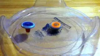 Earth Pegasus 105RF VS Beat Fox 230WD