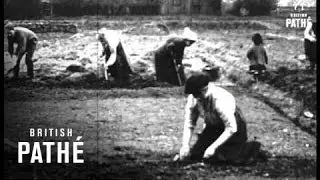 Holiday Push Allotments (1914-1918)