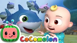 Baby shark 🦈 #youtube #kidsentertainment #chuchutv #cocomelon #kids