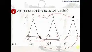 Verbal Intelligence Test 14