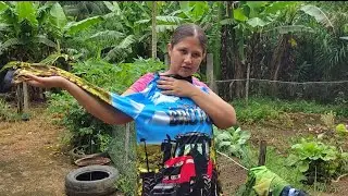 Kit 3 CAMISETA AGRO UV50  #vidanaro&ccedil;a #rotinadodia
