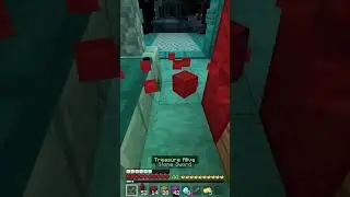 I Built A SHOP In Hive Treasure Wars!