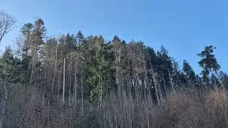 Mein Leben in Freiburg Tag 123