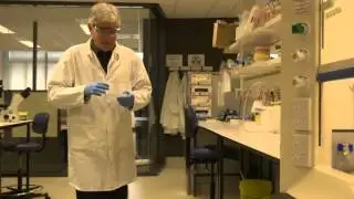 Centre for Brain Research, University of Auckland