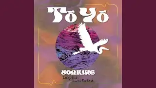 Soaring