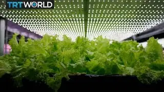 Paris turns public spaces into farming projects | Money Talks