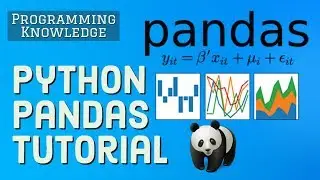 Python Pandas Tutorial |  Learn Pandas for Python | Pandas for Data Analysis 🐼
