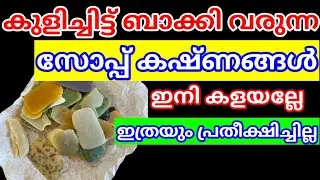 തേഞ്ഞ സോപ്പ് ഇനി കളയല്ലേ ഇതൊന്ന് ചെയ്ത് നോക്കൂ Left Over Soap Reuse Ideas #easy #tips #diy