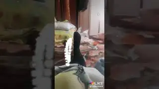 Же со(35)