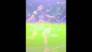 Mitchell Moses