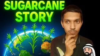 Sweet Story of Sugarcane | Historyगन्ने का राज़ | All and 