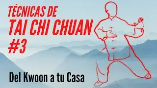 Técnica básica de Tai Chi Chuan #3 -  Rechazar al Mono