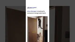 When Manager is looking for someone to assign extra work #officememes #memes #youtubeshorts #viral