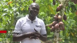 ProCISA Cameroun - GIZ