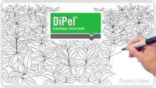 DIPEL - Inseticida biol&oacute;gico.