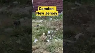 Camden, New Jersey Walk Through