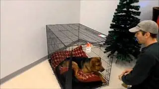 2 Door Dog Crates