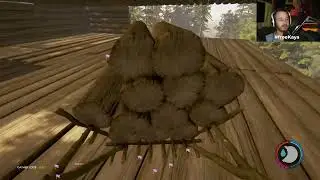 [freeKaya] forest day -  megabonk - ballXpit - halfsword !keys
