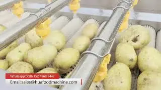 Brush Potato Cleaning Machine For Potato Surface Impurity Removing