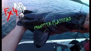 Fx4 Huge Surprise!! Monster Catfish Caught on a 10