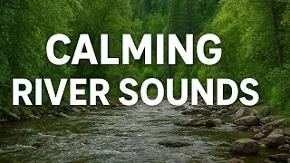 Chill River Vibes | Downstream Lincoln Creek, Colorado | 4K Nature Sounds