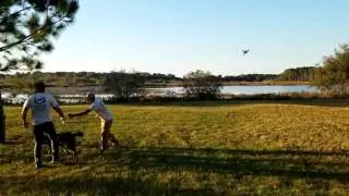 FLYING A DRONE WITH DOGS-SPACE COAST MEDIA GROUP